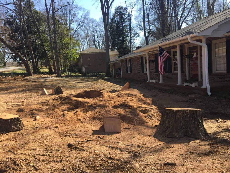 Gene’s Stump Grinding, LLC Anderson, SC Gallery Photo 1