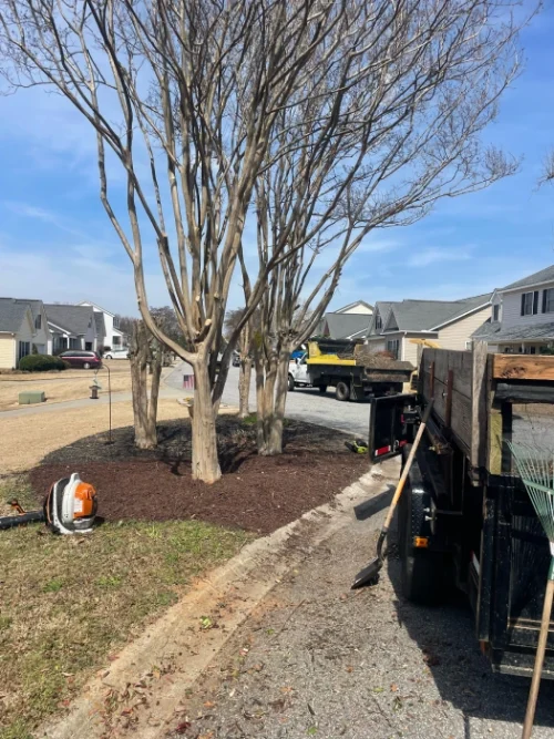 Gene’s Stump Grinding, LLC Anderson, SC Gallery Photo 12