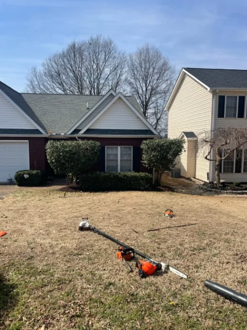 Gene’s Stump Grinding, LLC Anderson, SC Gallery Photo 13