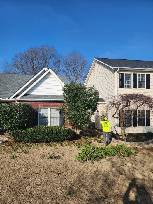 Gene’s Stump Grinding, LLC Anderson, SC Gallery Photo 14