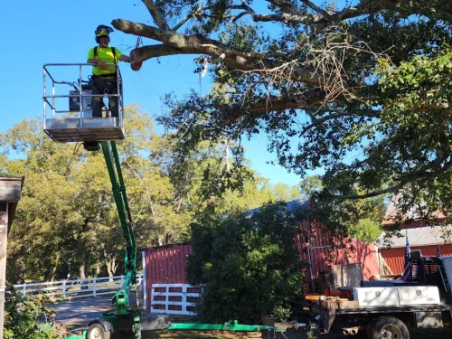 Gene’s Stump Grinding, LLC Anderson, SC Gallery Photo 16