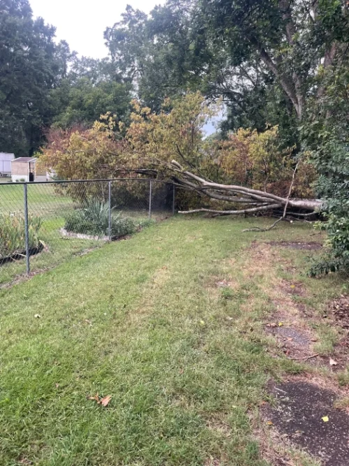 Gene’s Stump Grinding, LLC Anderson, SC Gallery Photo 17