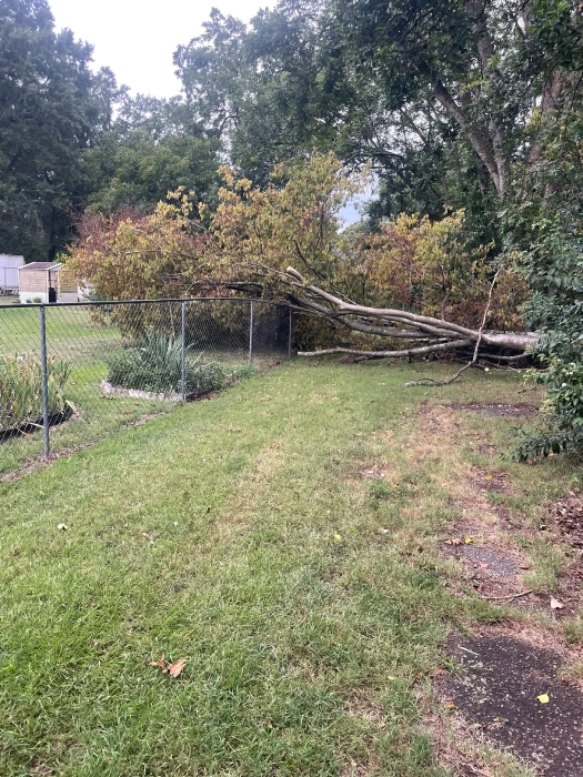 Gene’s Stump Grinding, LLC Anderson, SC Gallery Photo 17