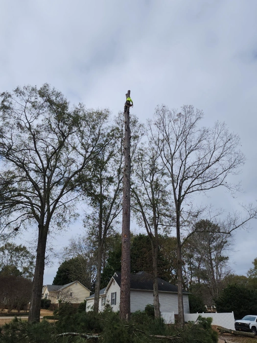 Gene’s Stump Grinding, LLC Anderson, SC Gallery Photo 18