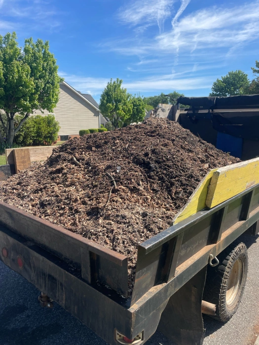 Gene’s Stump Grinding, LLC Anderson, SC Gallery Photo 19