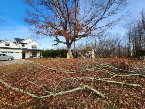 Gene’s Stump Grinding, LLC Anderson, SC Gallery Photo 4