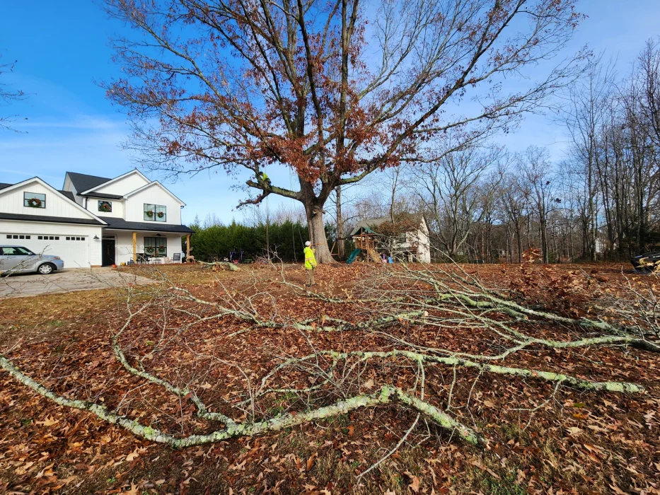 Gene’s Stump Grinding, LLC Anderson, SC Gallery Photo 4