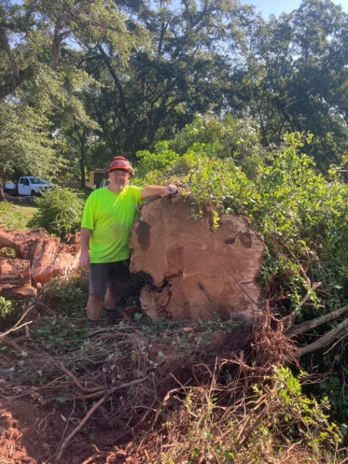 Gene’s Stump Grinding, LLC Anderson, SC Gallery Photo