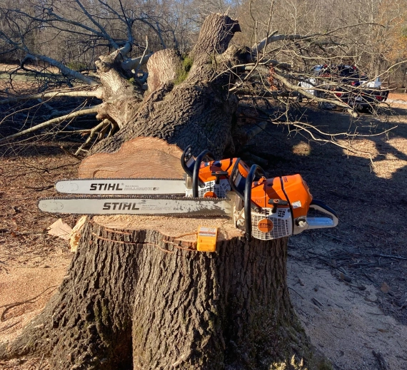 Gene’s Stump Grinding, LLC Anderson, SC home media2