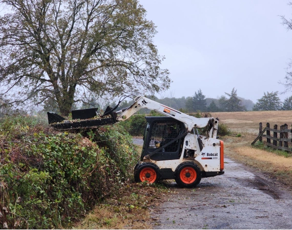 Land Clearing & Bush Hogging