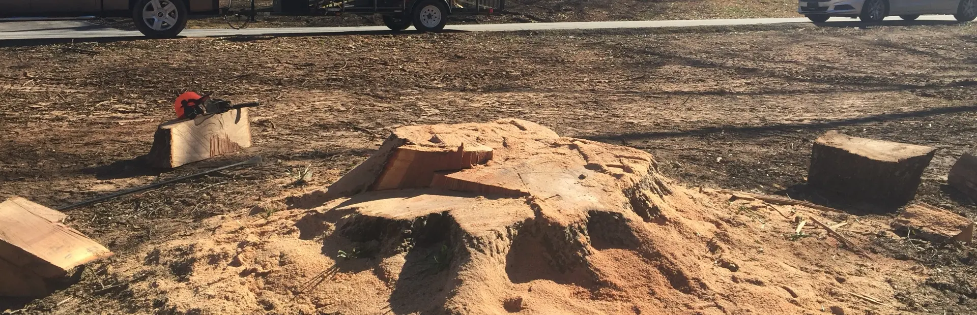 Stump Grinding & Mulch Removal bg