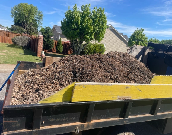 Stump Grinding & Mulch Removal